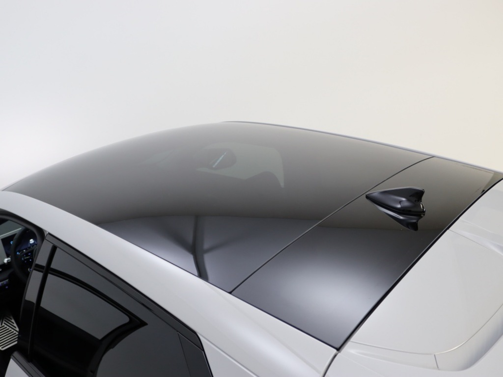 HYUNDAI-IONIQ 5-77 kWh 4WD Lounge Vision Panoramadak PL 659 pm