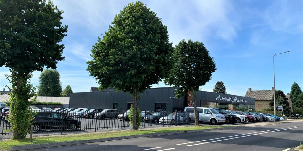 BMW-3-SERIE-316i Executive Xenon Leder Navi Cruise PDC NL-auto