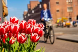Prinsjesdag 2025: dit verandert er voor ondernemers in 2026