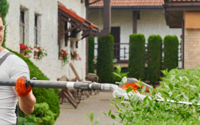 Financial lease voor hoveniers